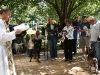 Blessing of the Animals 2011 2